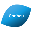 Caribou